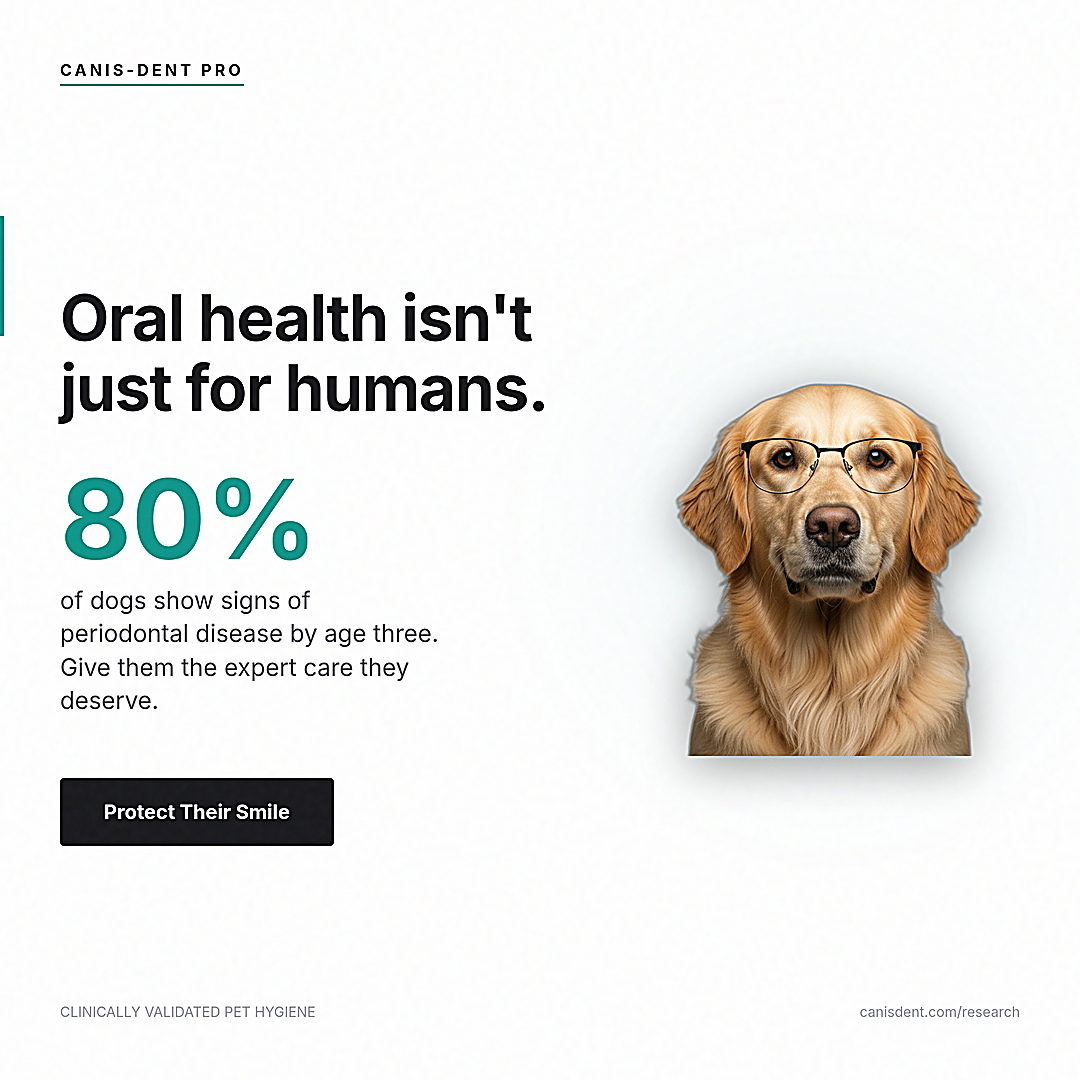 Square 1080 by 1080 pixel ad creative featuring a Golden Retriever wearing human reading glasses, a large teal 80 percent statistic, and black typography on a white background promoting pet dental health.